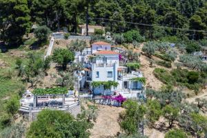 Stamatiou Estate Skopelos Greece