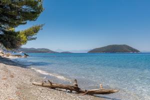 Stamatiou Estate Skopelos Greece