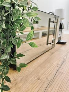 The Luxury Loft Vienna