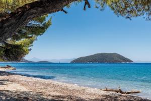 Stamatiou Estate Skopelos Greece