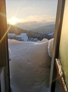 Apartamenty Poziomkowe