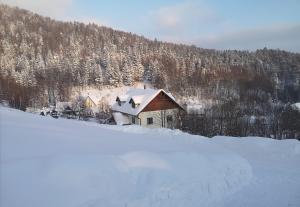 Apartamenty Poziomkowe