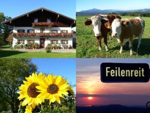 Fembacherhof