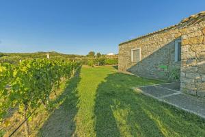 La Littighedda Country Residence img17