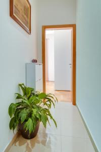 Studio Apartment Vittoria