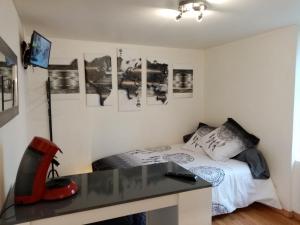 Appartements STUDIO 10 calme a Valadon : photos des chambres