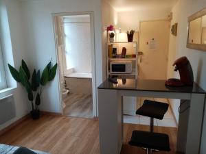 Appartements STUDIO 10 calme a Valadon : photos des chambres