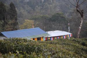 Theengs Homestay(MIRIK)