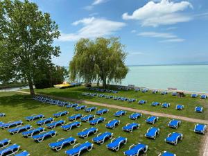 Világos Hotel Balatonvilágos
