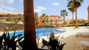 ADEJE EL GALEON SEA View