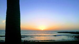 ADEJE EL GALEON SEA View