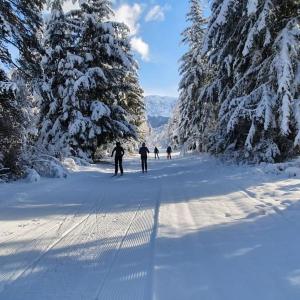 Chalets Chalet de Pont-Peyron La Marmotte : photos des chambres