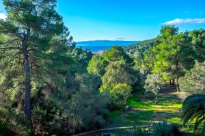 Forest Resort Skiathos Skiathos Greece