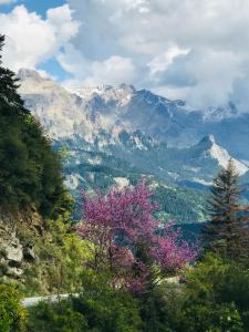 Theasis-Igloo Epirus Greece