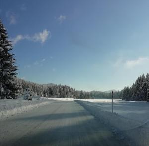 Vila Carmen kuća za odmor sa wellnessom,Sunger