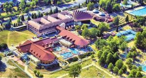 Pine Wood Apartment 6