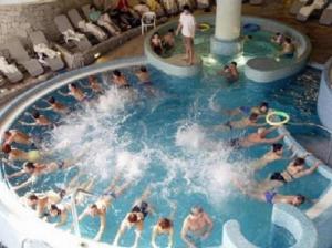 Pine Wood Apartment 6