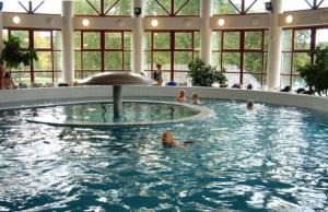 Pine Wood Apartment 8