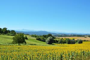 Villages vacances Residence L'Oustal Del Carlat : photos des chambres