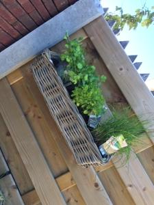 Vakantiewoning Petit Watou