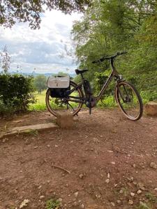 Vakantiewoning Petit Watou