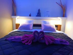 Chambre dhoteFitness Billard Gratuit SPA en supplément Mas la Farelle