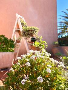 Villa Ginestra img24