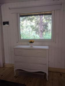 Cabañita del bosque