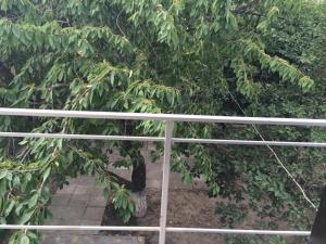 Authentic Odessa Dacha