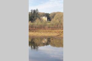 Maisons de vacances Paimpont: Gite de la Haute Fenderie : photos des chambres