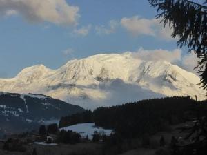 Chalets Chalet Mireneige charme et confort face au Mont Blanc : photos des chambres