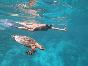 迪弗西白沙滩酒店 - 图鲁斯杜