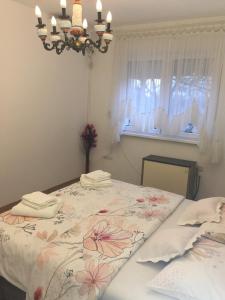 Apartman Hakuna Matata