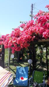 Gaivota-Casa de Praia para veraneio - temporada Balneário Gaivotas-SC Família Kunhasky