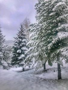 Szarvaslak Zalaújlak