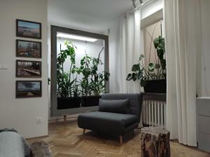 Apartament - Zielone Podlasie