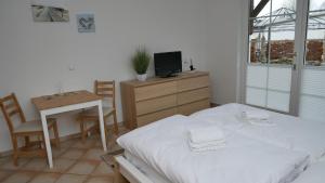 Windflüchter Nordstrand