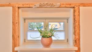 Mühlenhaus Windmühle