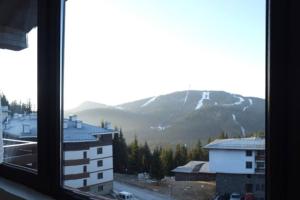 Stunning Mtn View 1Bed Ski Apt in Pamporovo