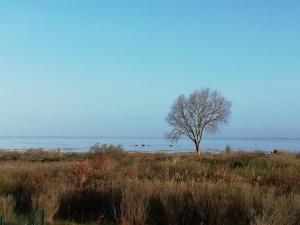 Le Pilotis photo 6