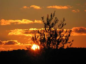 Ferienhaus-Heisser-Sand-Whg-6