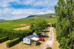 Camping de Santenay - 皮利尼蒙特拉谢