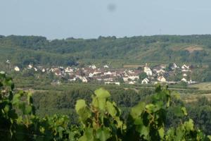 Maisons de vacances Gite Chateau de Montboulon 4* Spa+piscine 14pers. : photos des chambres