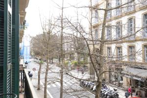 The Rentals Collection - Legazpi