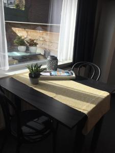 Studio met woonslaapkamer,keuken en badkamer Dreefje 5