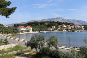 Studio with Terrace and Sea View room in Studio Lumbarda 4385b