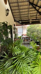 Cornwall Coorg
