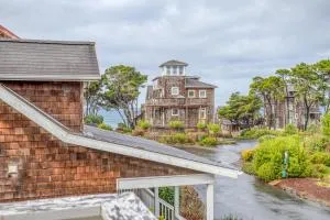 Bella Bear - 迪波湾