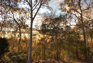 Redrock Retreat