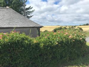 Crossgates, Rosehearty